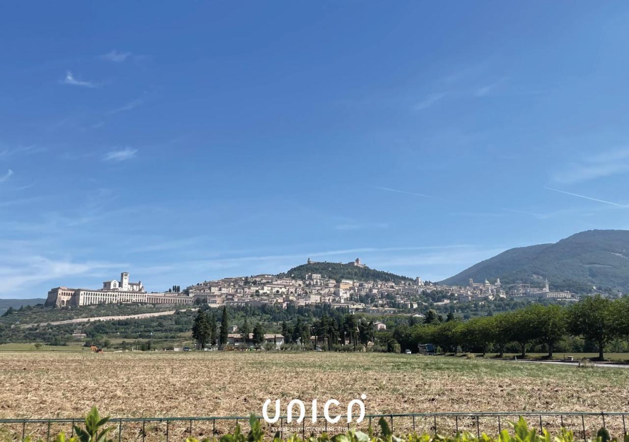 Unica Assisi Agri-Charming House Bed & Breakfast Dış mekan fotoğraf
